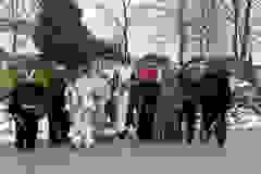 469510621_970926025070784_9078526984549719465_n